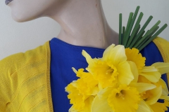 daffodils